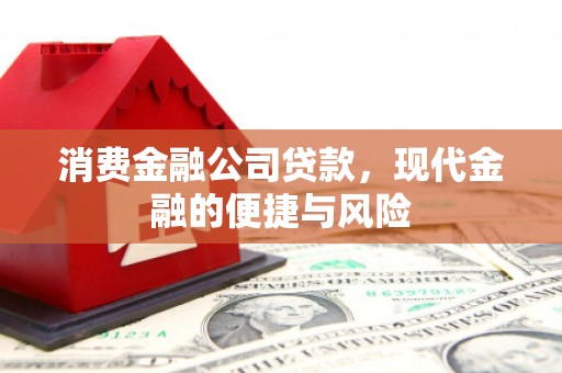 蒲城消费金融公司贷款，现代金融的便捷与风险