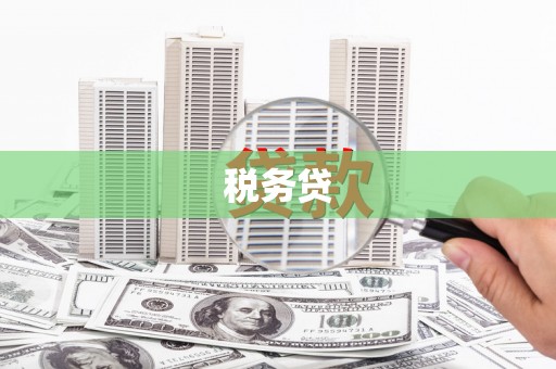 蒲城税务贷