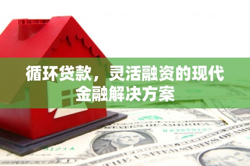 蒲城循环贷款，灵活融资的现代金融解决方案