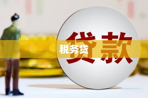 蒲城税务贷