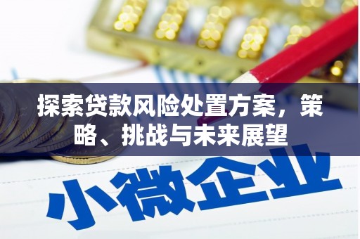 蒲城探索贷款风险处置方案，策略、挑战与未来展望