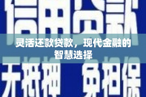 蒲城灵活还款贷款，现代金融的智慧选择