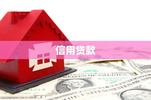 蒲城信用贷款