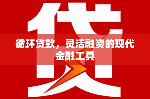 蒲城循环贷款，灵活融资的现代金融工具