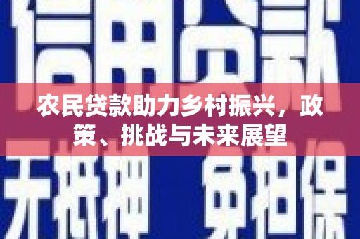 蒲城农民贷款助力乡村振兴，政策、挑战与未来展望