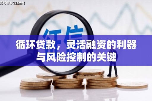 蒲城循环贷款，灵活融资的利器与风险控制的关键