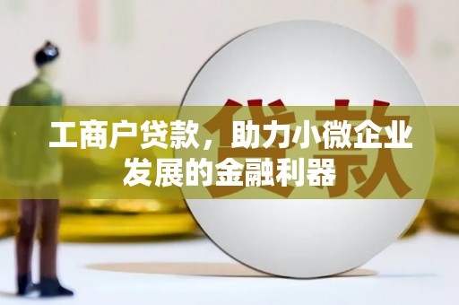 蒲城工商户贷款，助力小微企业发展的金融利器