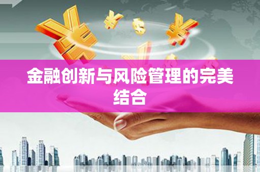 蒲城金融创新与风险管理的完美结合
