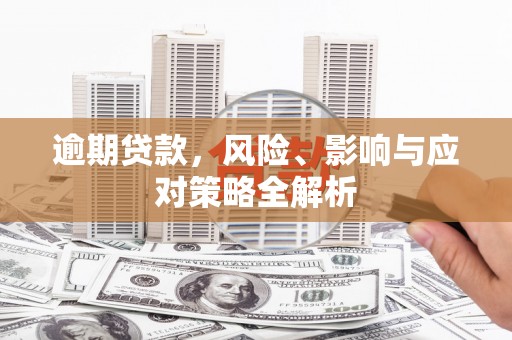 蒲城逾期贷款，风险、影响与应对策略全解析