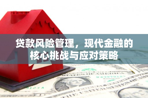 蒲城贷款风险管理，现代金融的核心挑战与应对策略
