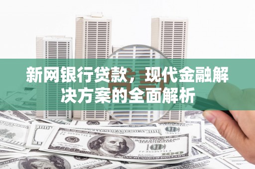 蒲城新网银行贷款，现代金融解决方案的全面解析