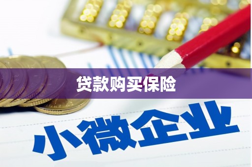 蒲城贷款购买保险