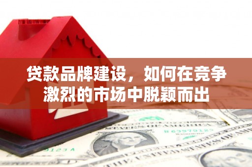 蒲城贷款品牌建设，如何在竞争激烈的市场中脱颖而出