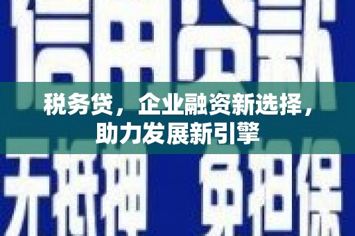 蒲城税务贷，企业融资新选择，助力发展新引擎