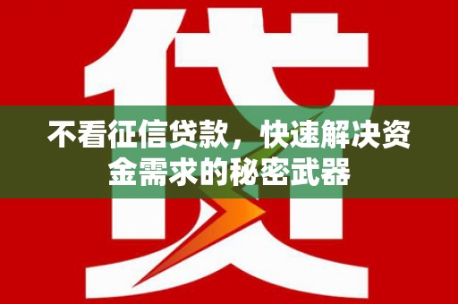 蒲城不看征信贷款，快速解决资金需求的秘密武器