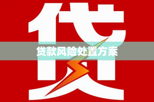蒲城贷款风险处置方案