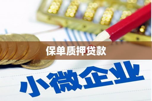 蒲城保单质押贷款