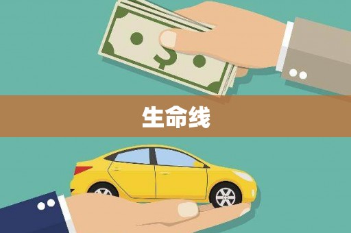 蒲城生命线