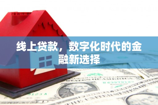 蒲城线上贷款，数字化时代的金融新选择