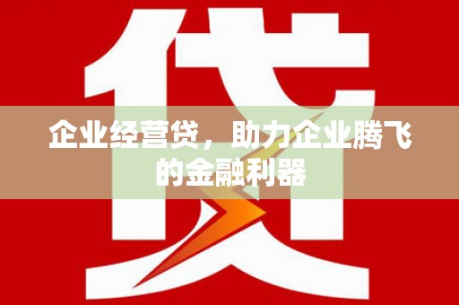 蒲城企业经营贷，助力企业腾飞的金融利器