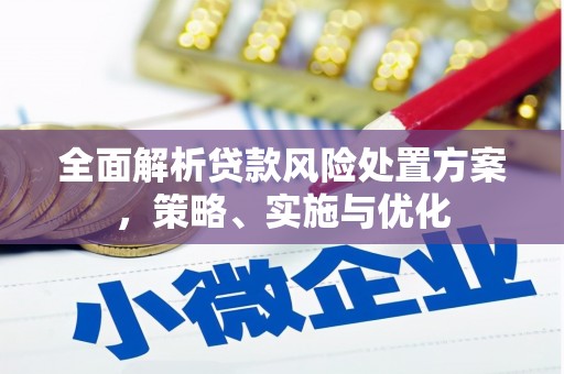 蒲城全面解析贷款风险处置方案，策略、实施与优化