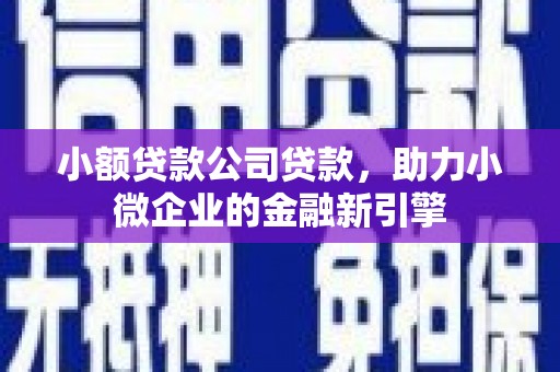 蒲城小额贷款公司贷款，助力小微企业的金融新引擎