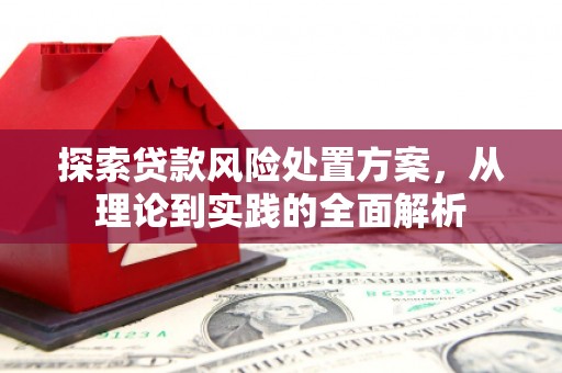 蒲城探索贷款风险处置方案，从理论到实践的全面解析
