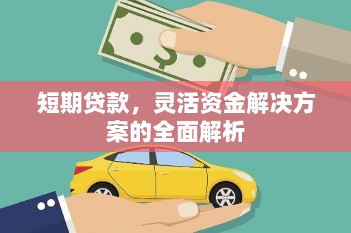 蒲城短期贷款，灵活资金解决方案的全面解析