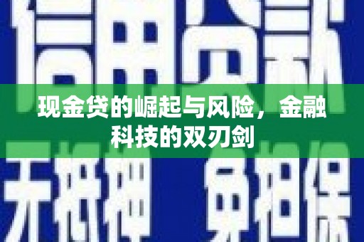 蒲城现金贷的崛起与风险，金融科技的双刃剑