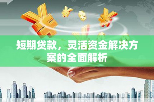 蒲城短期贷款，灵活资金解决方案的全面解析