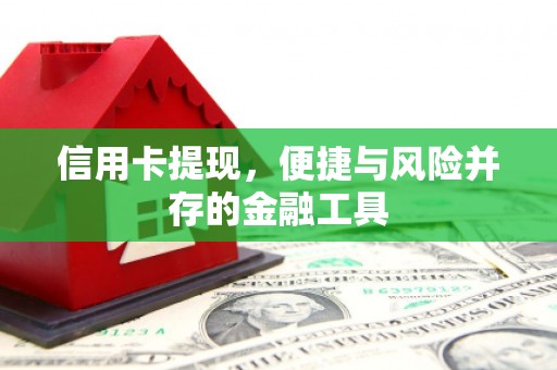 蒲城信用卡提现，便捷与风险并存的金融工具