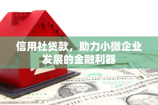 蒲城信用社贷款，助力小微企业发展的金融利器