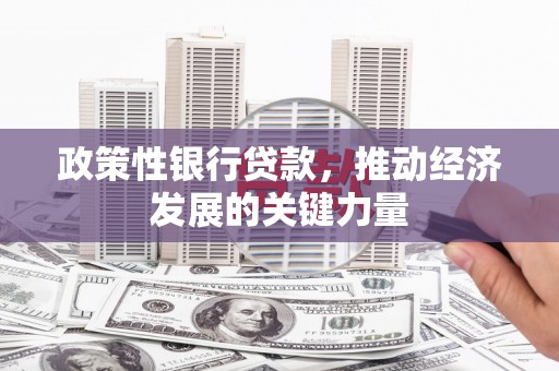 蒲城政策性银行贷款，推动经济发展的关键力量
