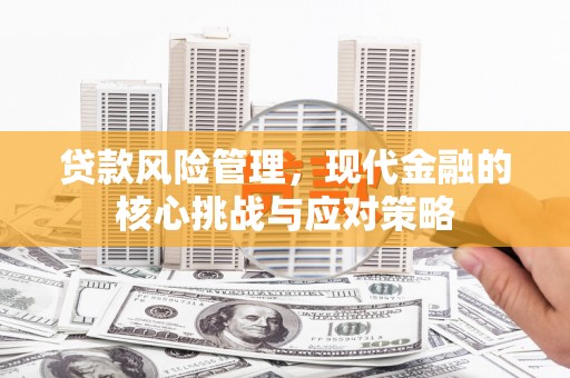蒲城贷款风险管理，现代金融的核心挑战与应对策略