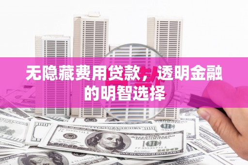 蒲城无隐藏费用贷款，透明金融的明智选择