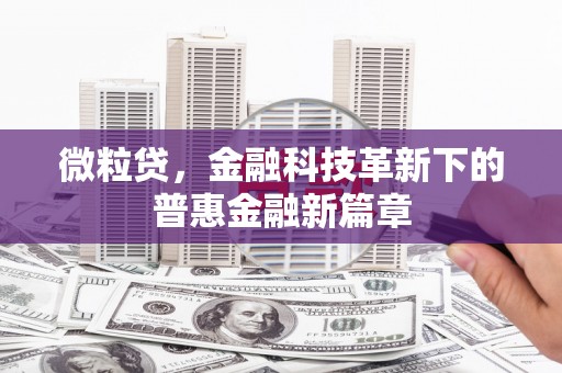 蒲城微粒贷，金融科技革新下的普惠金融新篇章