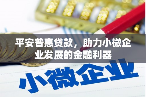 蒲城平安普惠贷款，助力小微企业发展的金融利器