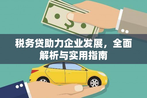 蒲城税务贷助力企业发展，全面解析与实用指南