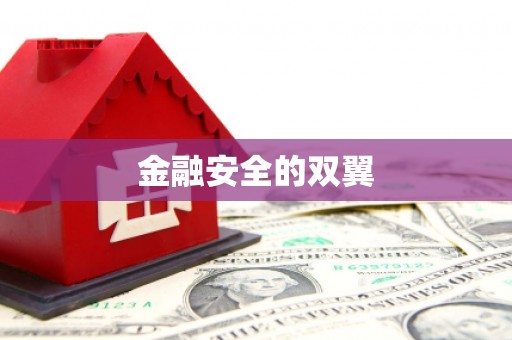 蒲城金融安全的双翼
