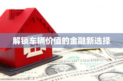 蒲城解锁车辆价值的金融新选择