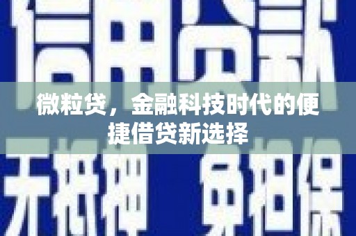 蒲城微粒贷，金融科技时代的便捷借贷新选择