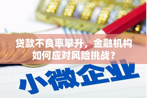 蒲城贷款不良率攀升，金融机构如何应对风险挑战？