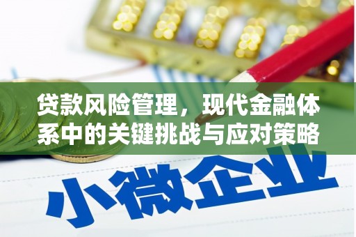 蒲城贷款风险管理，现代金融体系中的关键挑战与应对策略