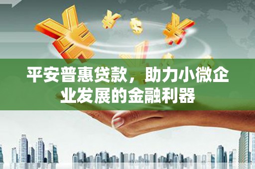 蒲城平安普惠贷款，助力小微企业发展的金融利器