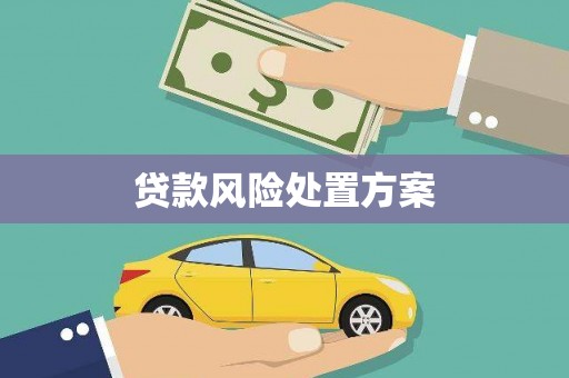 蒲城贷款风险处置方案