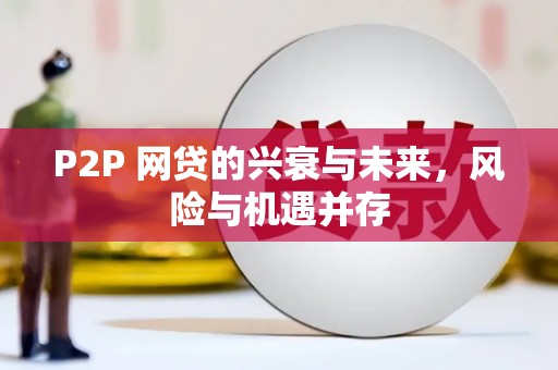 蒲城P2P 网贷的兴衰与未来，风险与机遇并存