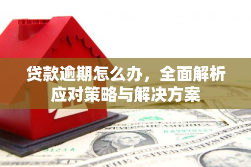 蒲城贷款逾期怎么办，全面解析应对策略与解决方案