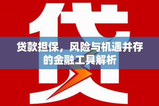 蒲城贷款担保，风险与机遇并存的金融工具解析