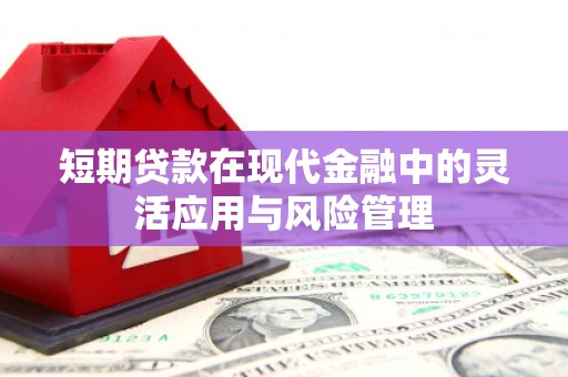 蒲城短期贷款在现代金融中的灵活应用与风险管理