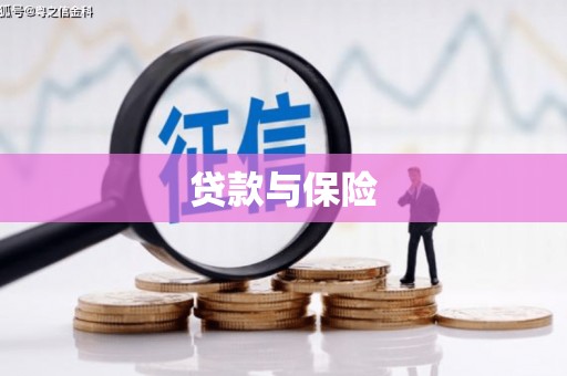 蒲城贷款与保险